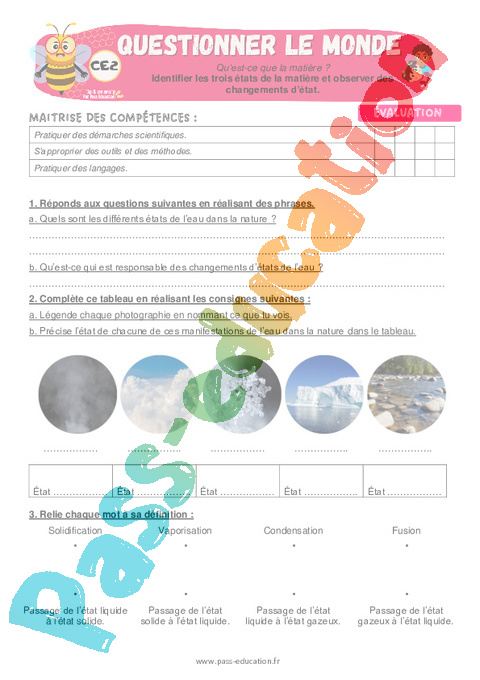 Evaluation La matière, les mouvements et les signaux : CE2