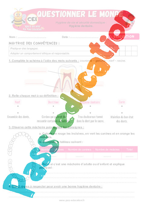 Evaluation Sciences et technologie - Nouveau programme : CE1
