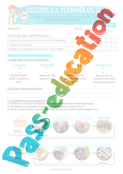 Evaluation Sciences et technologie - Nouveau programme : CM1