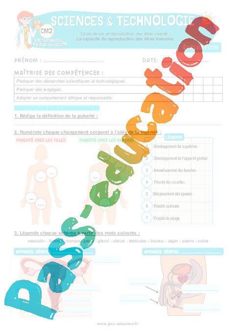 Evaluation Sciences et technologie - Nouveau programme : CM2