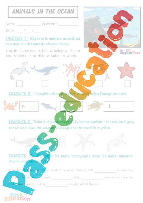 Exercice Animals - Anglais : CP