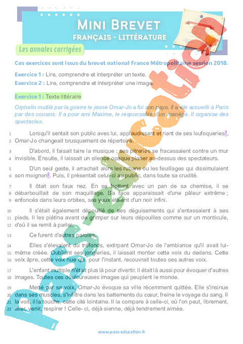 Exercice Annales français : 3ème