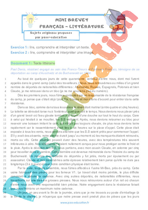 Exercice Annales français inédites PE : 3ème