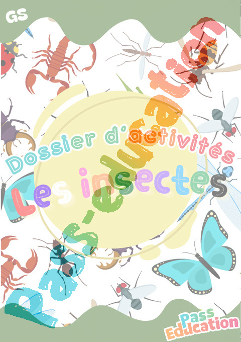 Exercice Cahier de vacances Les insectes - Cahier de vacances Animaux & environnement : GS - Grande Section