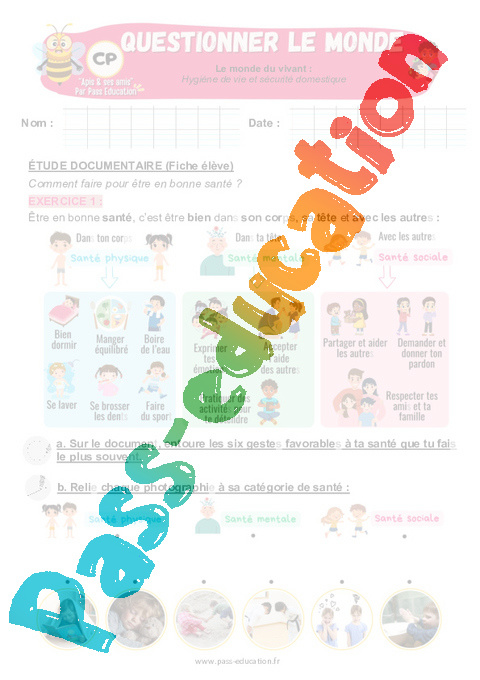 Exercice Êtres vivants dans leur environnement : CP