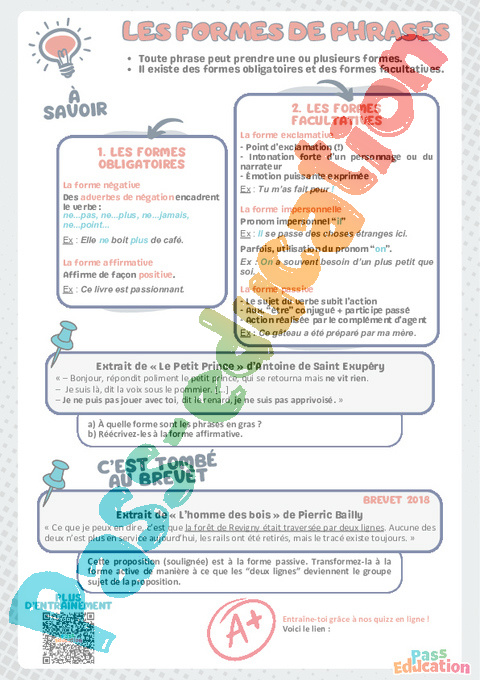 Exercice Formes de phrases : 3ème