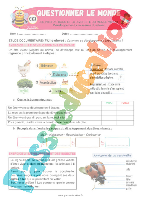 Exercice La matière, les mouvements et les signaux : CE1
