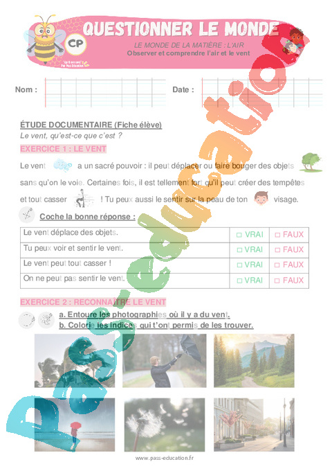 Exercice La matière, les mouvements et les signaux : CP