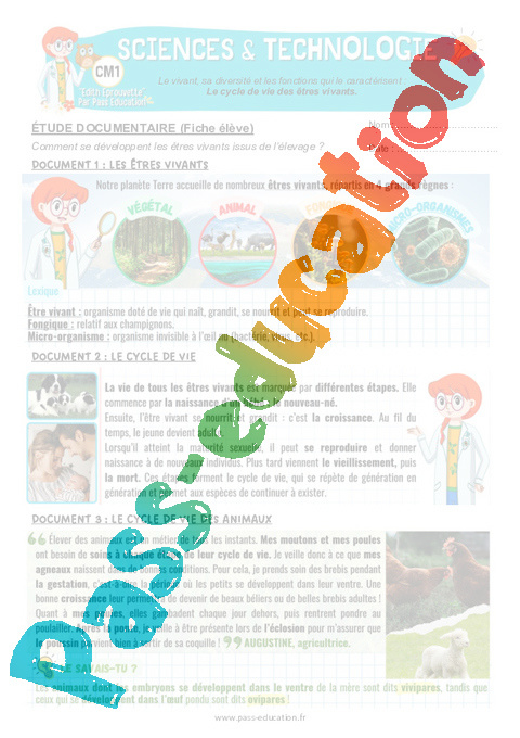 Exercice Sciences et technologie - Nouveau programme : CM1