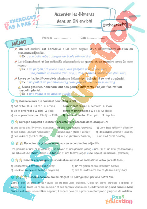 Leçon, exercice et évaluation :<br/> Accord dans le groupe nominal : CM2