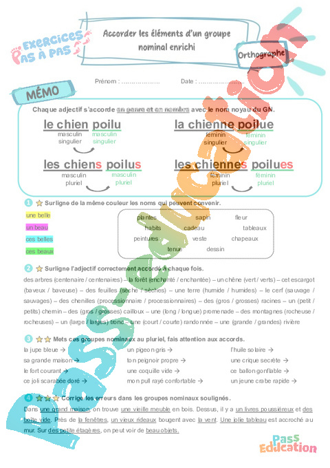 Leçon, exercice et évaluation :<br/> Accorder les éléments d’un groupe nominal enrichi : CE2