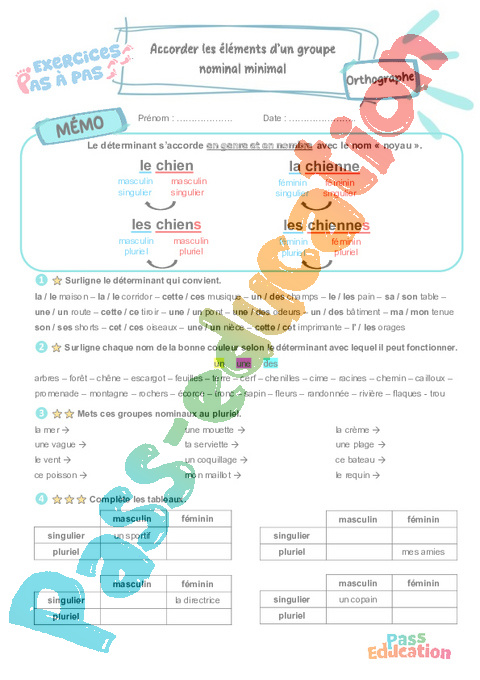 Leçon, exercice et évaluation :<br/> Accorder les éléments d’un groupe nominal minimal : CE2