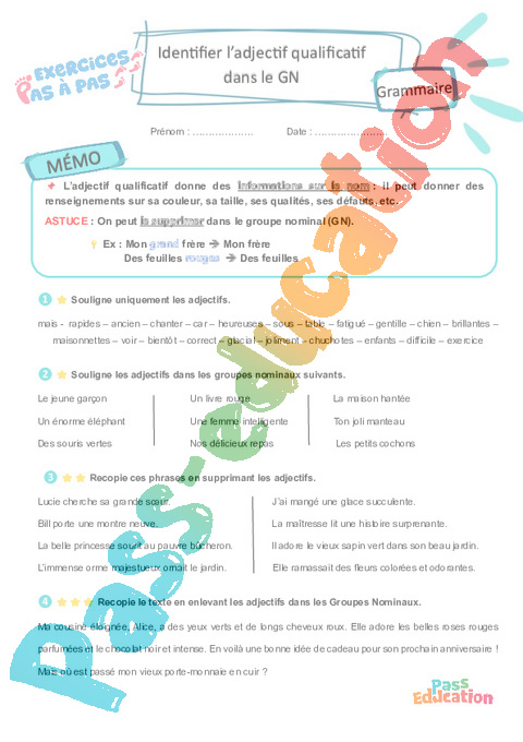 Leçon, exercice et évaluation :<br/> Adjectif Qualificatif : CE2
