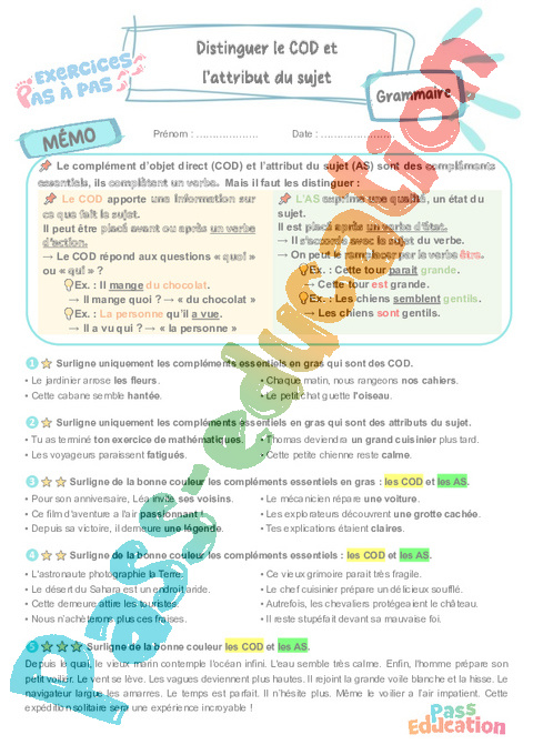 Leçon, exercice et évaluation :<br/> Distinguer le COD et l’attribut du sujet : CM2