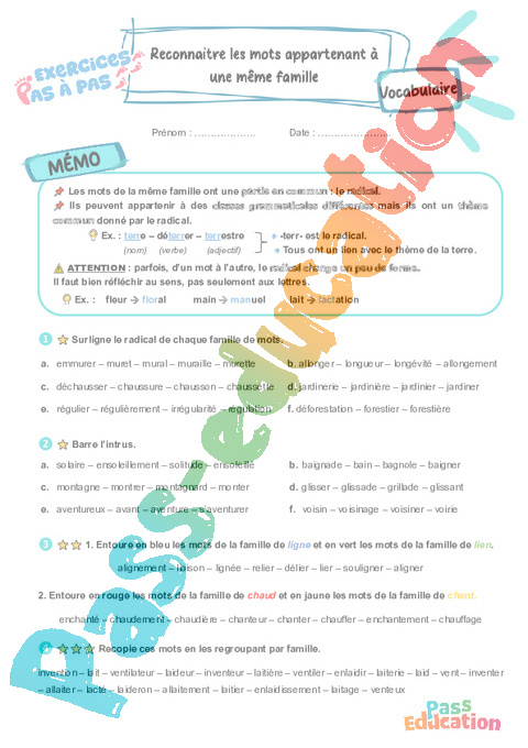 Leçon, exercice et évaluation :<br/> Familles de mots : CE2