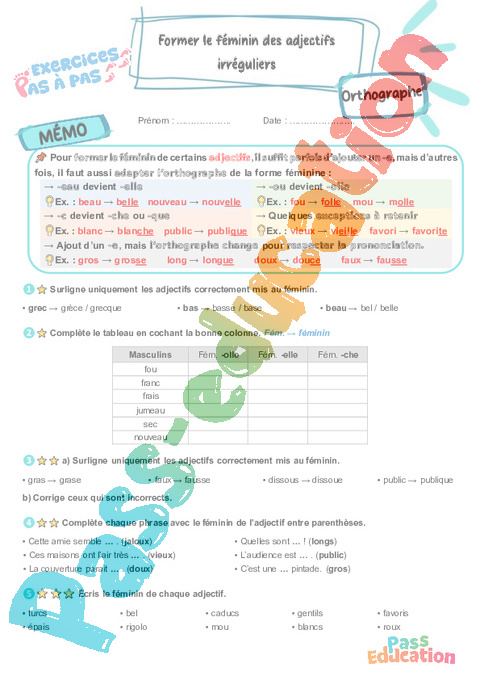Leçon, exercice et évaluation :<br/> Former le féminin des adjectifs irréguliers : CM1