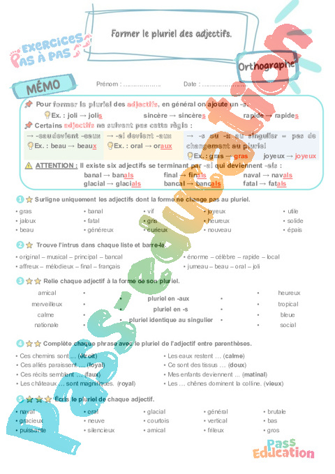 Leçon, exercice et évaluation :<br/> Former le pluriel des adjectifs : CM1