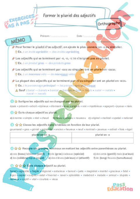 Leçon, exercice et évaluation :<br/> Former le pluriel des adjectifs : CM2