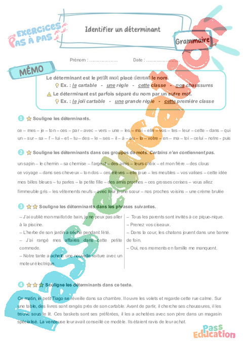 Leçon, exercice et évaluation :<br/> Identifier les déterminants et leur type : CE2