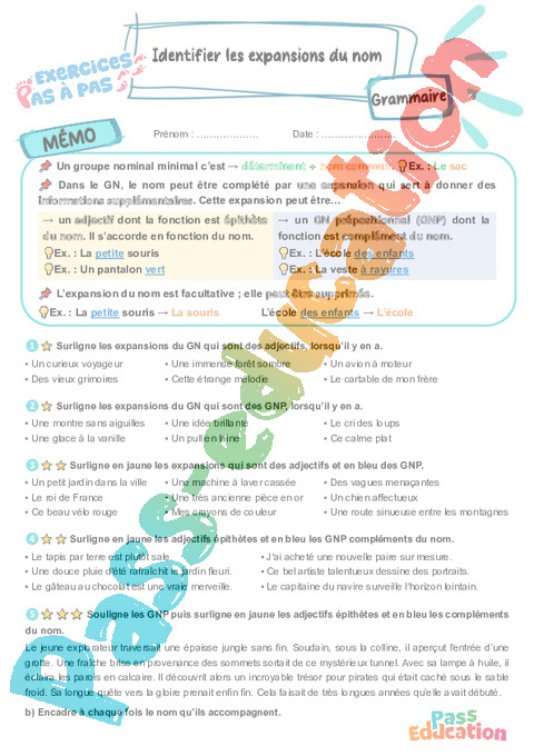 Leçon, exercice et évaluation :<br/> Identifier les expansions du groupe nominal (GN) : CM2