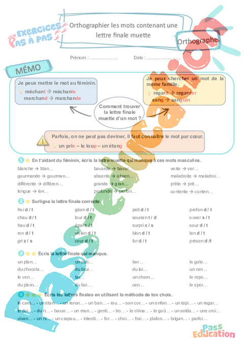 Leçon, exercice et évaluation :<br/> Lettre finale muette : CE2