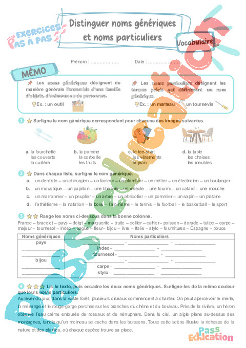 Leçon, exercice et évaluation :<br/> Mots étiquettes / termes génériques et particuliers : CE2