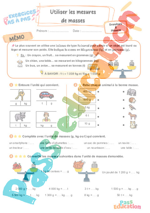 Leçon, exercice et évaluation :<br/> Utiliser les mesures de masses : CE2