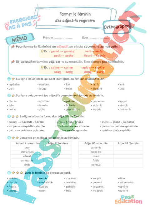 Leçon, exercice et évaluation :<br/> Former le féminin des adjectifs réguliers : CM1
