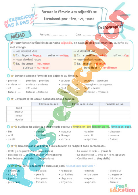 Leçon, exercice et évaluation :<br/> Former le féminin des adjectifs se terminant par -r, -ve, -se, -euse : CM1