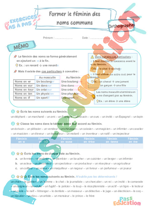 Leçon, exercice et évaluation :<br/> Former le féminin des noms communs : CE2
