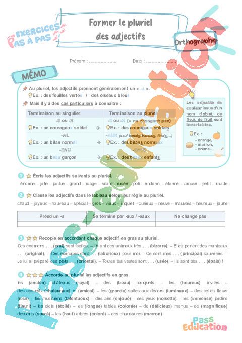 Leçon, exercice et évaluation :<br/> Former le pluriel des adjectifs : CE2
