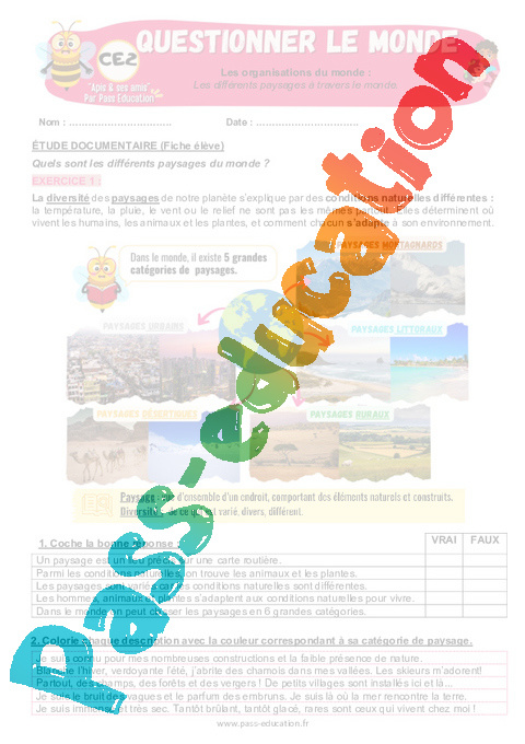 Leçon, exercice et évaluation :<br/> Géographie - Nouveau programme : CE2