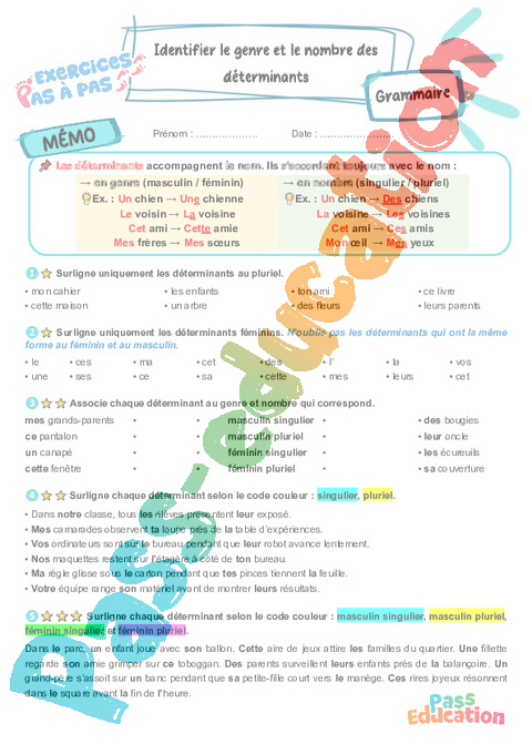 Leçon, exercice et évaluation :<br/> Identifier le genre et le nombre des déterminants : CM1