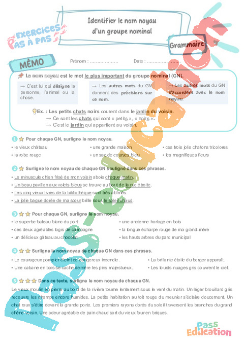 Leçon, exercice et évaluation :<br/> Identifier le nom noyau d’un groupe nominal : CM2