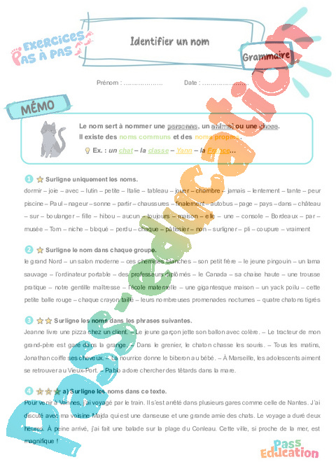 Leçon, exercice et évaluation :<br/> Identifier un nom : CE2