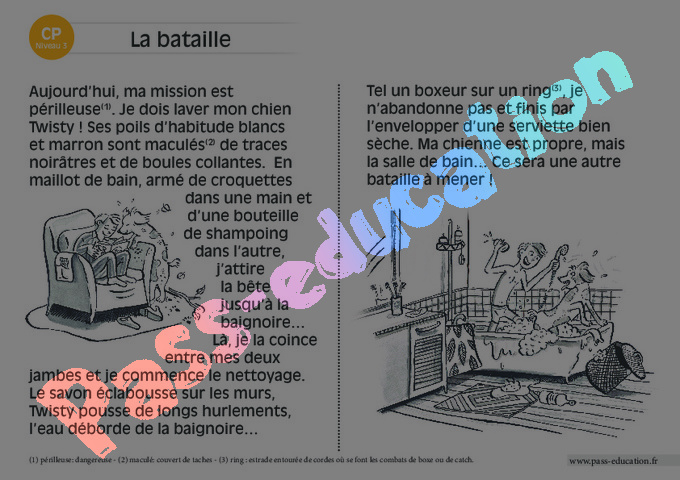 Leçon, exercice et évaluation :<br/> Niveau 3 : CP