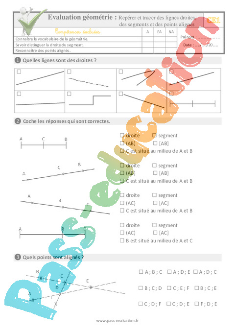 Evaluation Quiz / Qcm : Droites et demi-droites - Points, droites et segments - Géométrie - Mathématiques : CE1