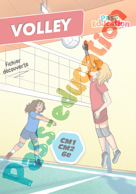 Cahier de vacances - Cahier de vacances Sports collectifs : CM2 en libre téléchargement