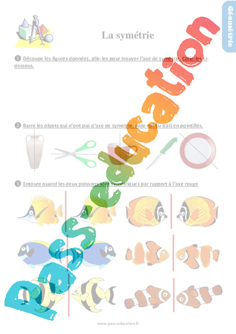 Leçon, exercice et évaluation :<br/> Reconnaitre des figures symétriques : CE1