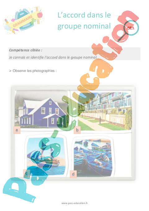 Séance découverte Accord dans le groupe nominal : CE1