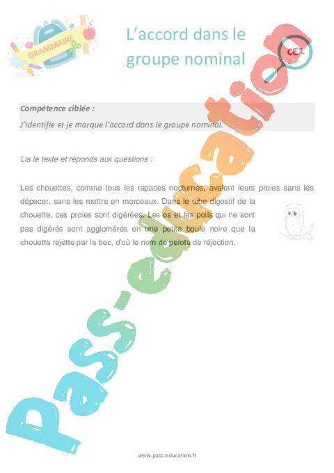 Séance découverte Accord dans le groupe nominal : CE2