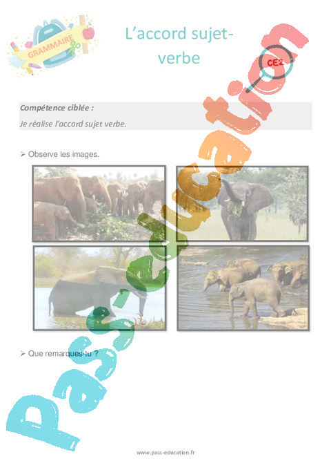 Séance découverte Accord sujet verbe : CE2