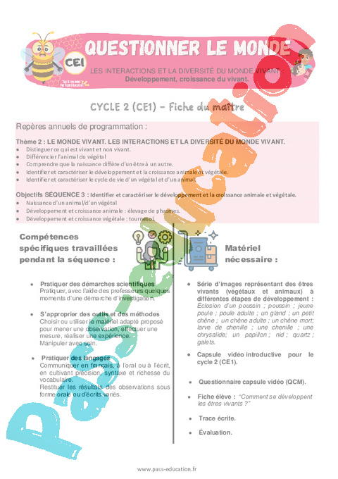 Séquence - Fiche de préparation La matière, les mouvements et les signaux : CE1