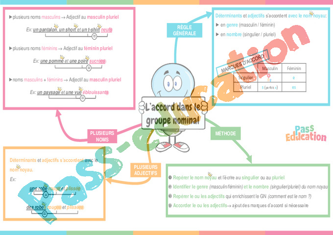 Leçon, exercice et évaluation :<br/> Accord dans le groupe nominal : CM1