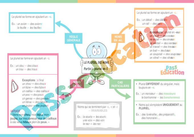 Cours et exercice : Accord du nom / pluriels particuliers : 6ème