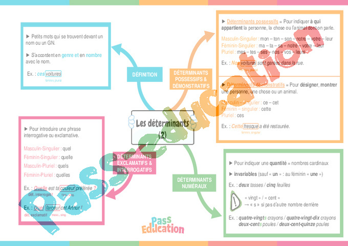Cours et exercice : Article et déterminant : 3ème