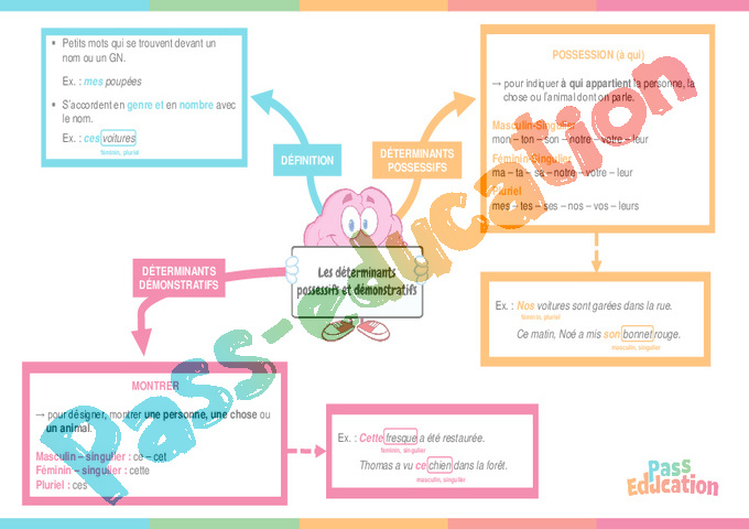 Leçon, exercice et évaluation :<br/> Article et déterminant : CM2