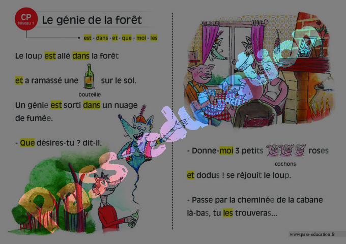 Vidéo interactive Lecture / Littérature : CE1