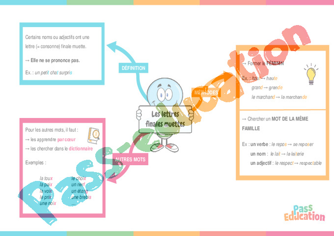 Cours et exercice : Lettre finale muette : 6ème