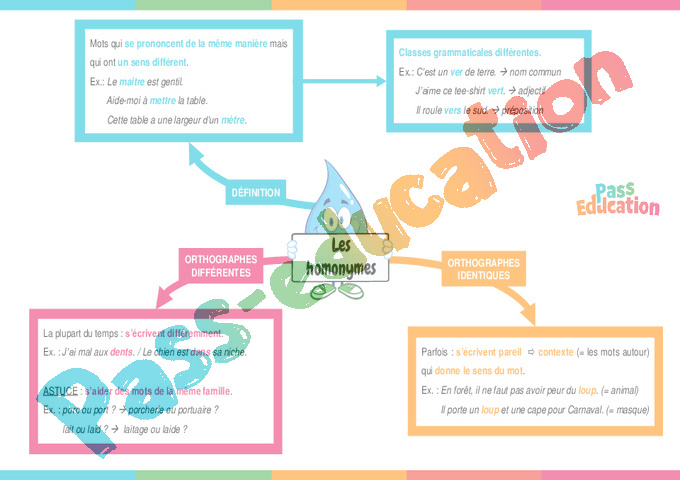 Leçon, exercice et évaluation :<br/> Vocabulaire Homonymes, homophones : CM2